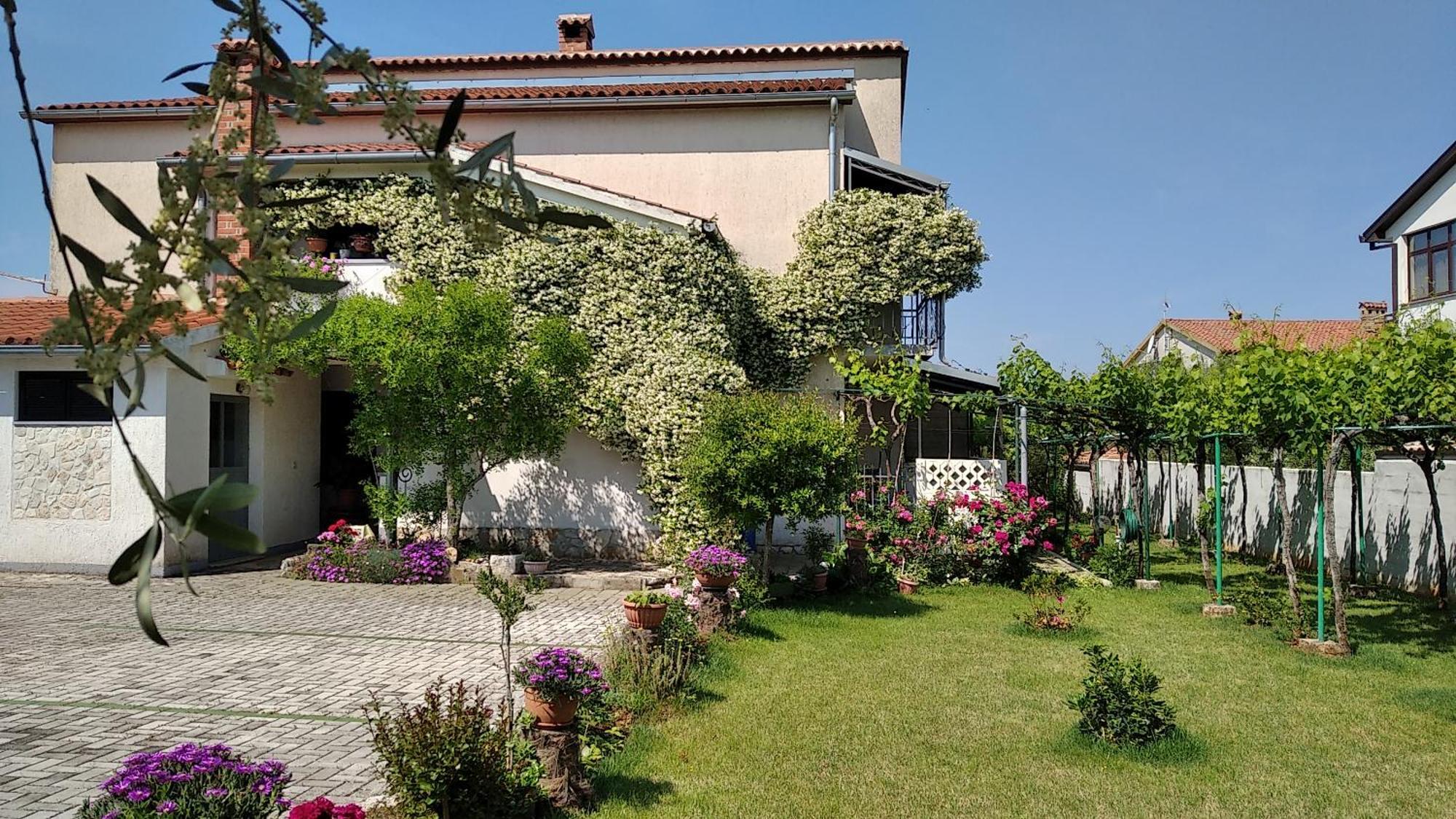 Apartment Sasa Bozac Poreč Eksteriør bilde